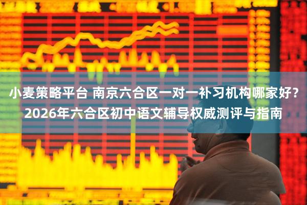 小麦策略平台 南京六合区一对一补习机构哪家好？2026年六合区初中语文辅导权威测评与指南