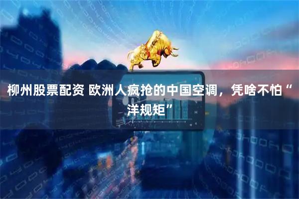 柳州股票配资 欧洲人疯抢的中国空调，凭啥不怕“洋规矩”